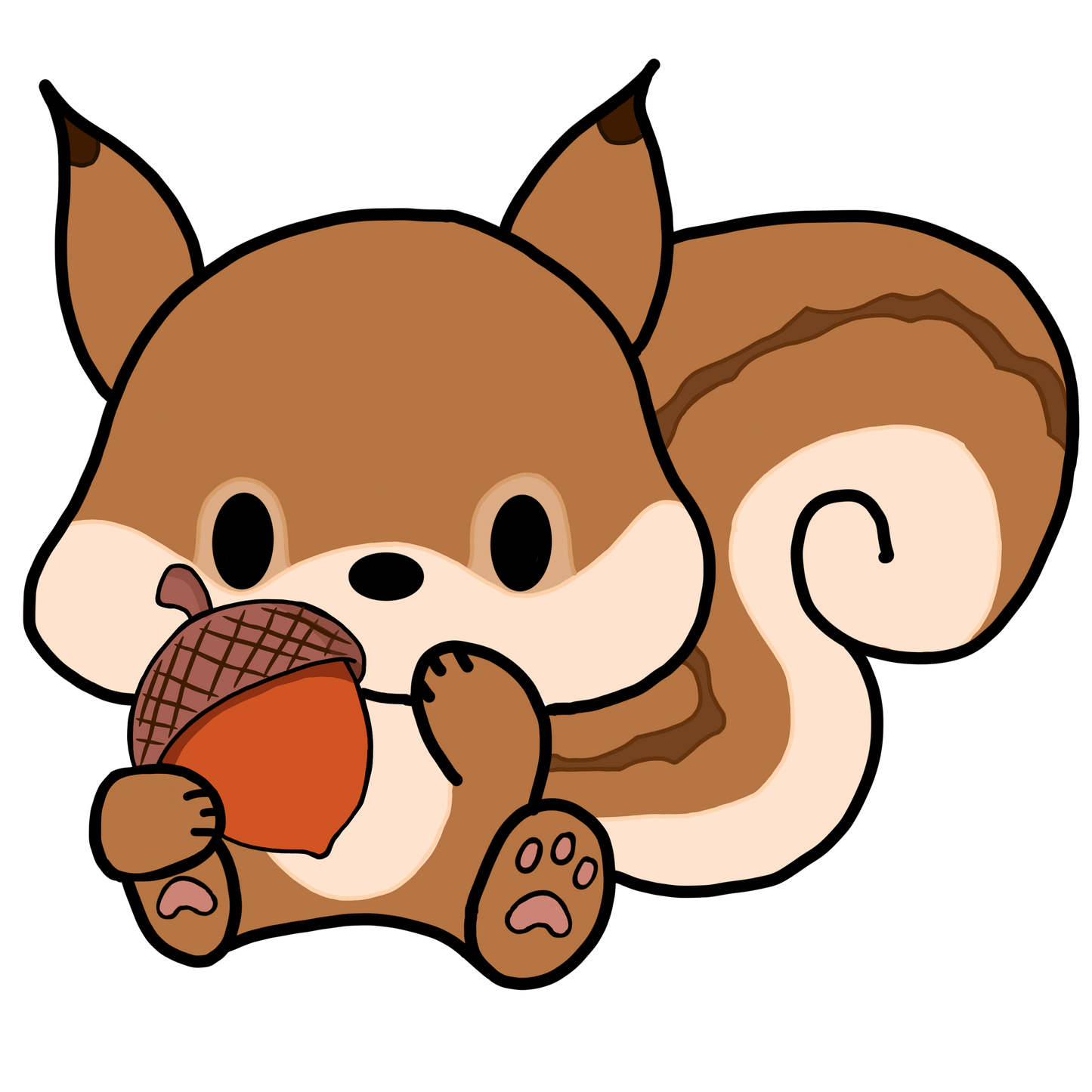 Squirrel